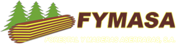 logo fymasa